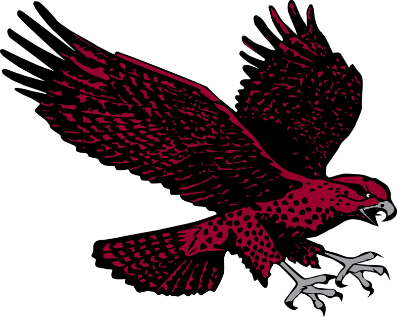 Maryland-Eastern Shore Hawks 2007-Pres Secondary Logo diy DTF decal sticker